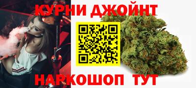 гашик Волжский
