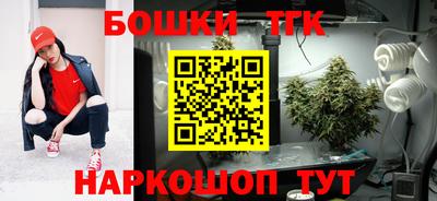 гашик Волжский