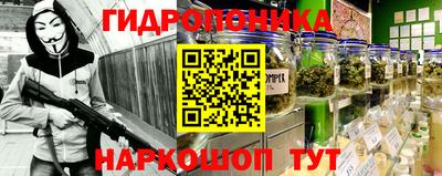 гашик Волжский