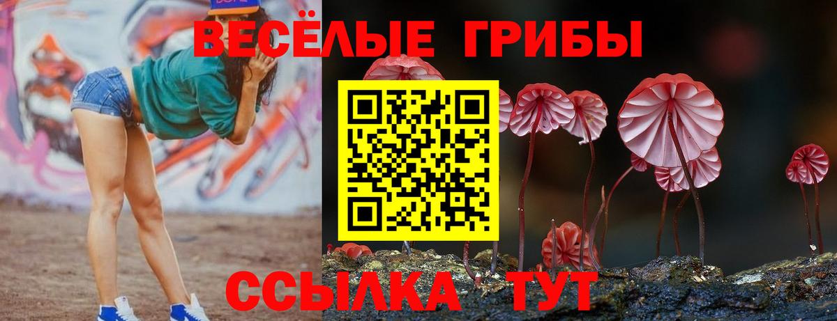 Галлюциногенные грибы мухоморы Карасук